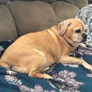 Meet your Posher, Cynthia